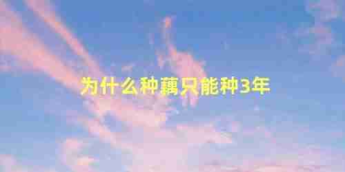 为什么种藕只能种3年 莲藕几年才可以挖出来(为什么种藕只能种3年 莲藕几年才可以挖出)